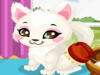 Cats Puzzle - 16 Pieces10