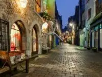 Hidden Flowers - Match-312