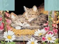 Candy Crush Original2