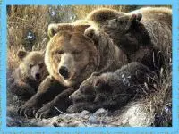 Candy Crush Original4