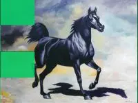 פאזל סוס לבן10