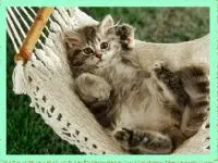 Animal Stacks - Match 510