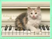 Candy Crush Original4