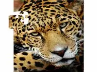 Candy Crush Original4