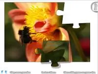 Flock of Flappy Birds10