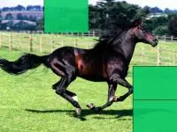 קנדי קראש המקורי4