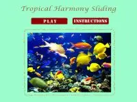 Candy Crush Original3