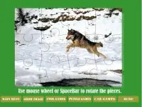 Spring Bird Puzzle - 16 Pieces1