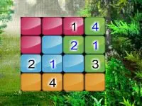 Snow Sudoku11