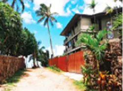 Diego: Spot the Differences2