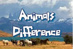 Candy Crush Original2