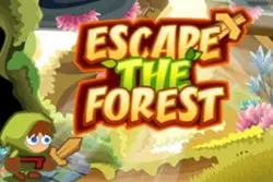 Fireboy and Icegirl8