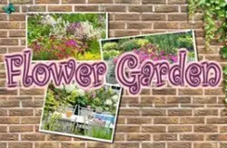 Find the Keys - Maze Game7