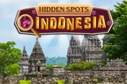 Hidden Flowers - Match-311