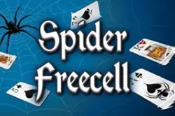 Arkadium Spider Solitaire1