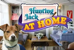 Hidden Food - Find Hidden Food6