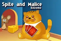 אלמנה שחורה - סוליטר עכביש10